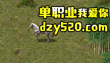 新开单职业传奇高级马牌 新开单职业传奇高级马牌