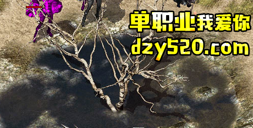 新手玩家如何快速熟悉各种复杂地图 新手玩家如何快速熟悉各种复杂地图