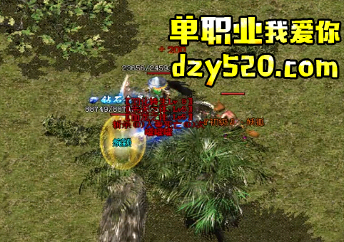 想击杀boss的话要了解boss特点、弱点、打法 想击杀boss的话要了解boss特点、弱点、打法