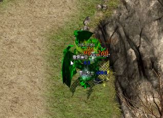 淨ʦҪעʲô