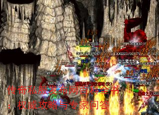 ˽ٿȫ飺Ȩרʴ