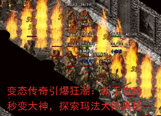 ̬񳱣ֹ̽귨½