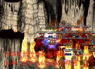 2024´˽ȫ飺ŵְҵͨ