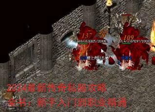 2024´˽ȫ飺ŵְҵͨ