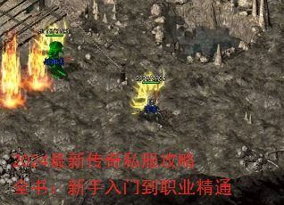 2024´˽ȫ飺ŵְҵͨ