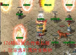 176ƷŴ˽ѡЬȫ