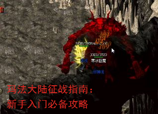 귨½սָϣűر