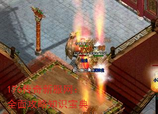 176·ȫ湥֪ʶ