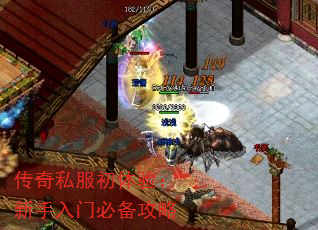 ˽飺űر