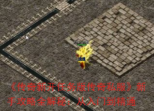 ¿洫˽ֹȫأŵͨ