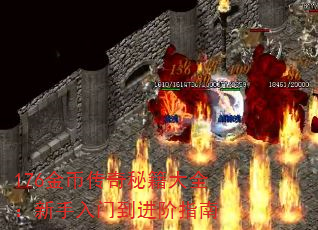 176Ҵؼȫŵָ