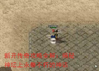 ¿湥ȫ⣺̳