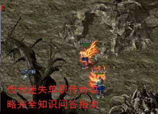 ʧְ湥ȫ֪ʶʴָ