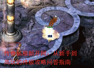 ˽¿ֵռʴָ