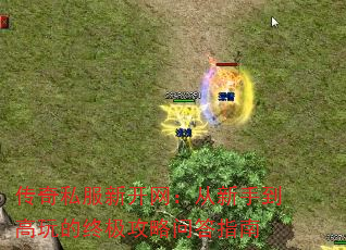 ˽¿ֵռʴָ