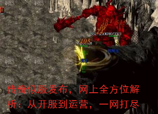 ƷȫλӿӪһ