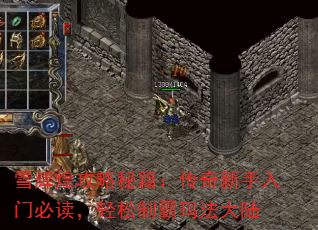 ѩԻ͹ؼűضư귨½