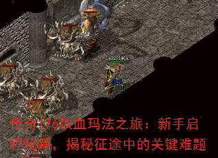 176Ѫ귨֮ãؼ;еĹؼ