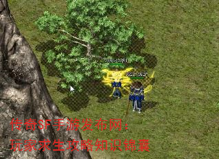 SFη֪ʶ