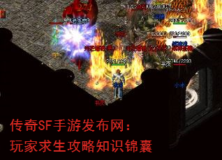 SFη֪ʶ