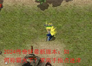 2024SF°汾γư£ָԽ