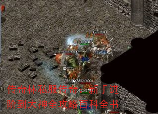 ˽棺ֽ׵ȫ԰ٿȫ