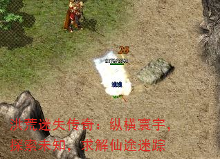 ʧ棺ݺ̽δ֪;