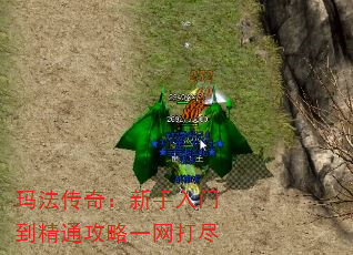 귨棺ŵͨһ