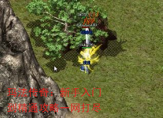 귨棺ŵͨһ