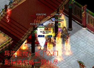 귨棺ŵͨһ