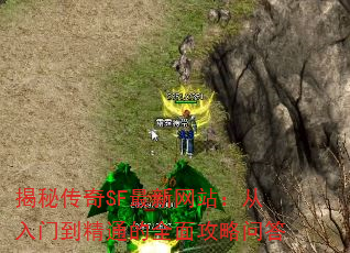 شSFվŵͨȫ湥ʴ