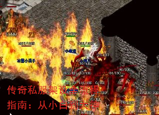 ˽ȫָϣС׵