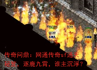 ʶͨsfͨţ¹˭