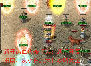 ¿ѪΣָֿϣС׵Դȫ
