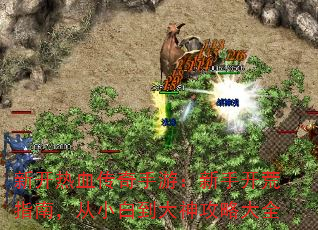¿ѪΣָֿϣС׵Դȫ
