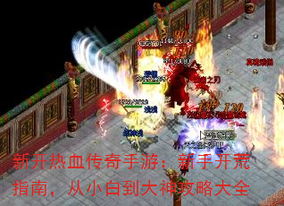 ¿ѪΣָֿϣС׵Դȫ