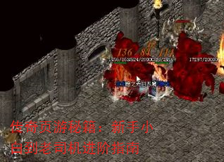 ҳؼС׵˾ָ