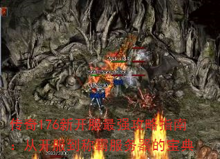 176¿ǿָϣӿưԷı