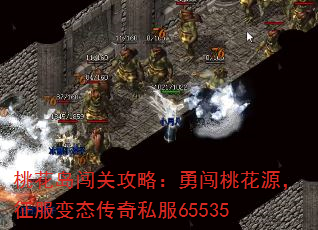 һعԣ´һԴ̬˽65535
