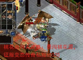 һعԣ´һԴ̬˽65535
