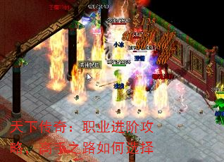 ´棺ְҵ׹ԣ֮·ѡ