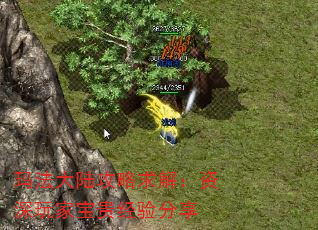 귨½⣺ұ