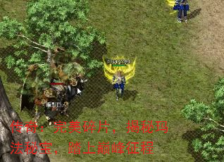 棺Ƭ귨ر̤۷
