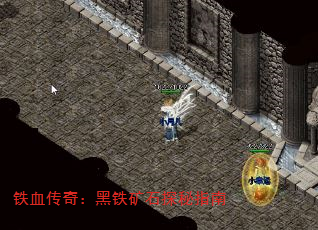Ѫ棺ʯָ̽