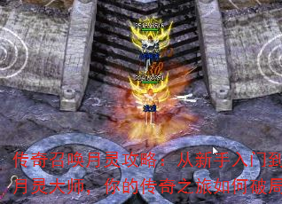 ٻ鹥ԣŵʦĴ֮ƾ