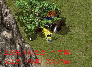 ʥ֮;ʥָ