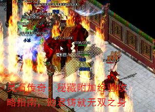 ʯ棺زظӾ鹥ָϣ˫֮