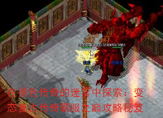 ɫ̬̽ŴԷ֮۹