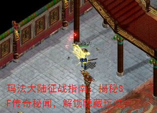 귨½սָϣSFţ淨