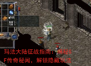 귨½սָϣSFţ淨